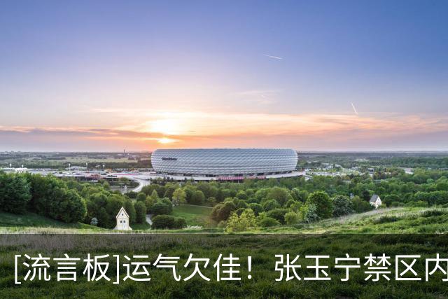 [流言板]运气欠佳！张玉宁禁区内挑射，皮球击中立柱